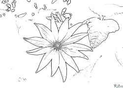 ဂျေရုဆလင် artichoke ပုံနှိပ်နိုင်သော ရောင်စုံစာမျက်နှာများ
